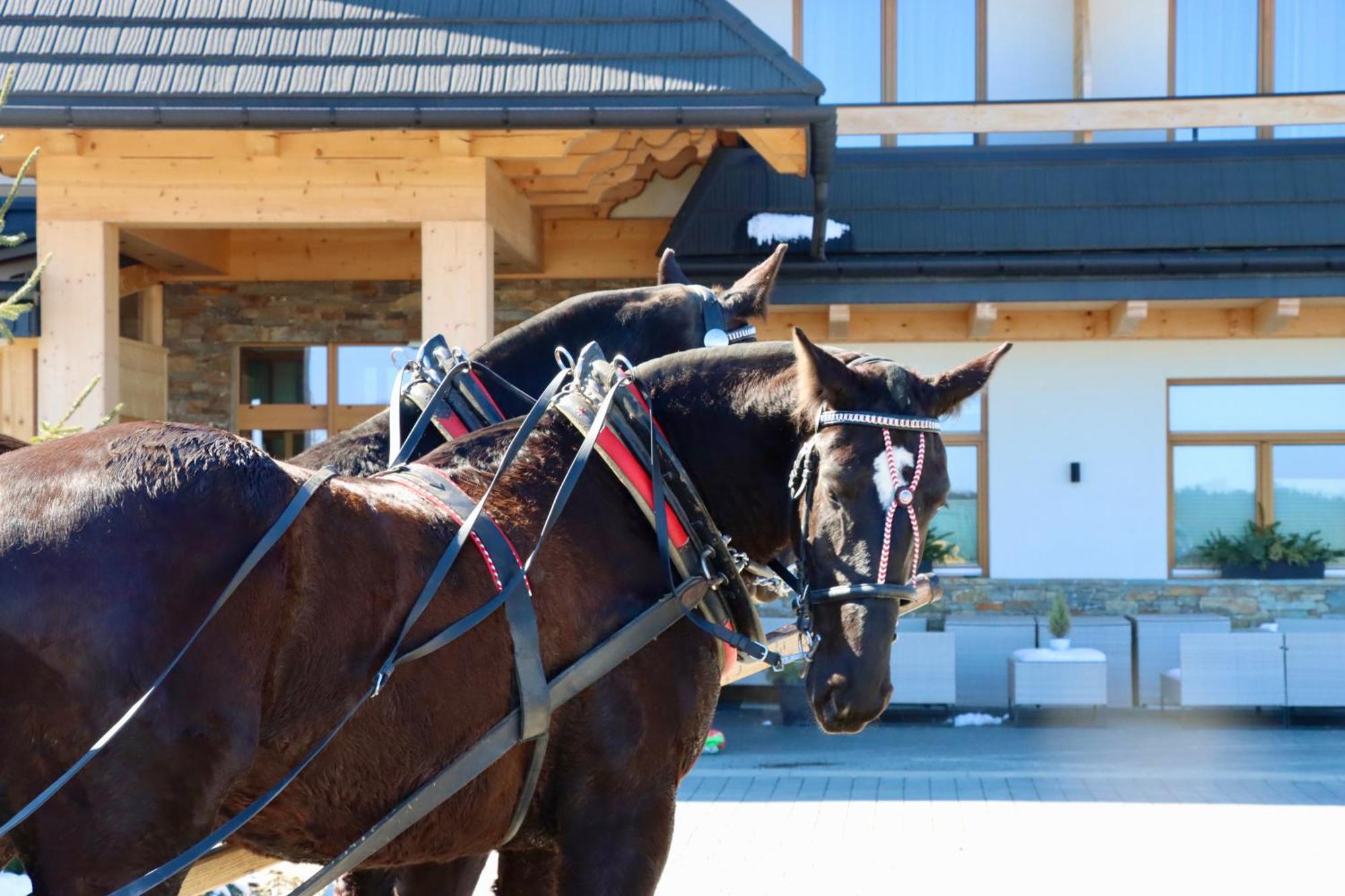 Aparthotel Askana Bialka Tatrzanska Bagian luar foto